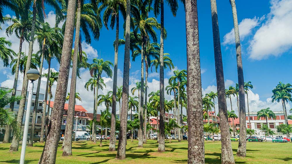 Expert-comptable à Cayenne, Guyane